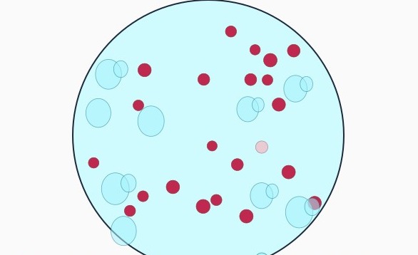 Modified acid-fast stained stool field: numerous small round red-stained bodies 4-6 µm across, scattered among larger pale unstained rounded structures.